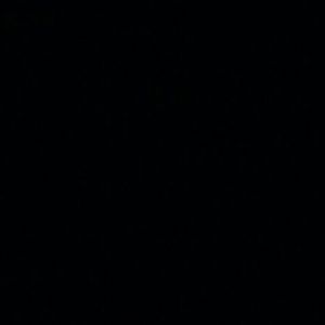 Meet your Posher, Ralph