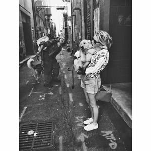 Meet your Posher, Allie