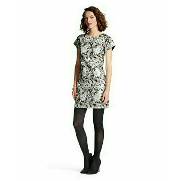 Silver and Black Shift Dress