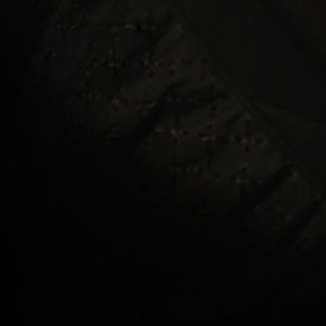 Meet your Posher, Wendy