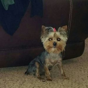 Meet your Posher, Darlene