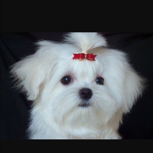 Meet your Posher, Valorie