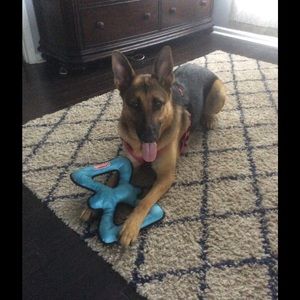 Meet your Posher, Heather