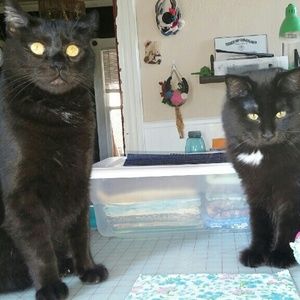 Meet your Posher, Debra