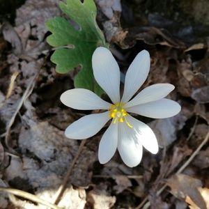 Meet your Posher, Winona