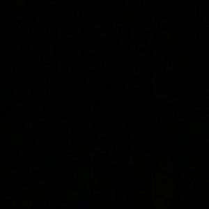 Meet your Posher, Rose