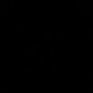 Meet your Posher, Roderic