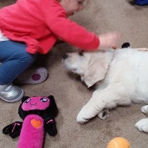 Meet your Posher, Kathy