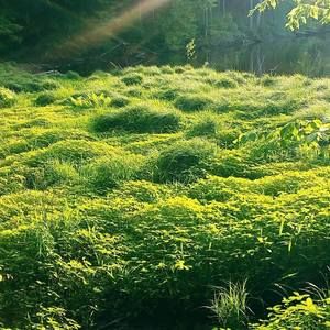 Meet your Posher, Cynthia