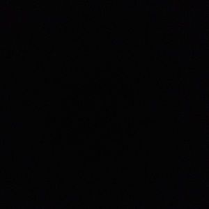 Meet your Posher, Donald