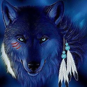 Meet your Posher, Cathy