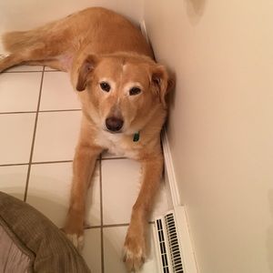 Meet your Posher, Rebecca