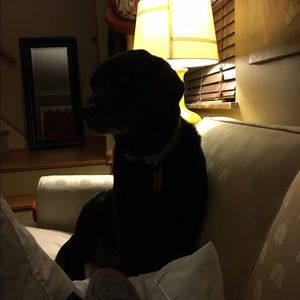 Meet your Posher, Christy