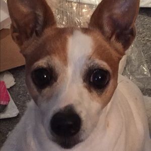 Meet your Posher, Tessa