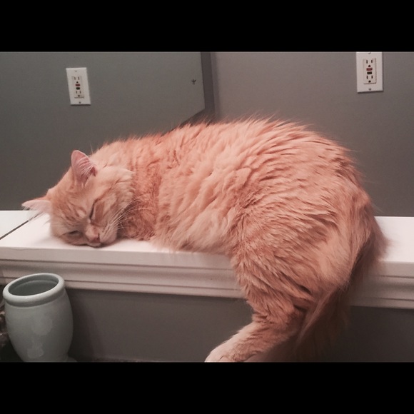 Meet your Posher, Renee