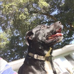 Meet your Posher, James