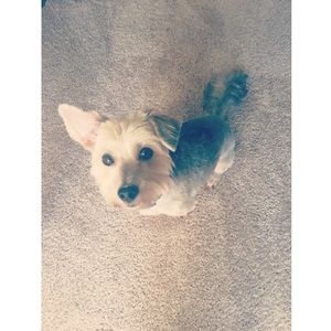 Meet your Posher, Miranda