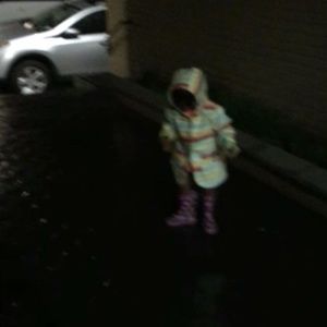 Meet your Posher, Harold