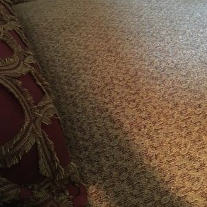 Meet your Posher, Sadie