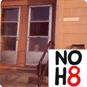 Meet your Posher, Sandie