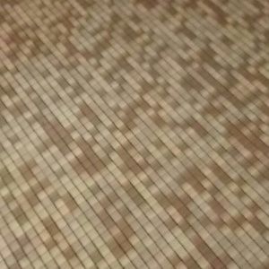 Meet your Posher, Santana