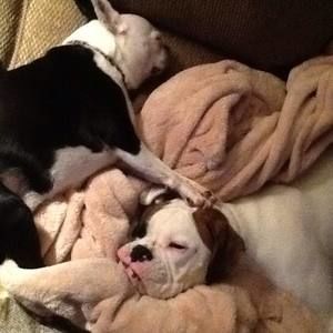 Meet your Posher, Renee