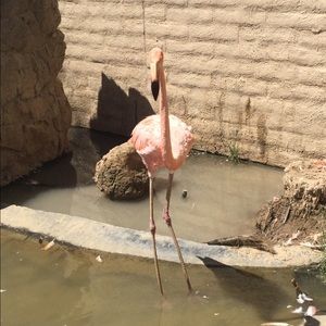 Meet your Posher, Lexie