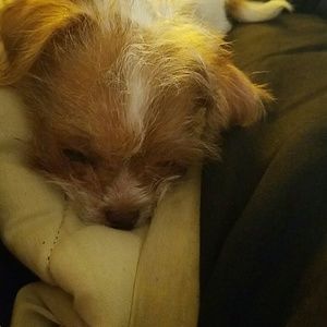 Meet your Posher, Alisha