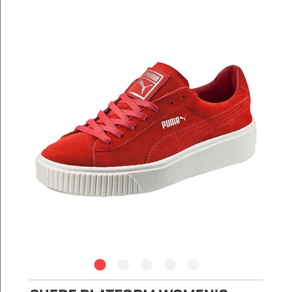 Platform pumas