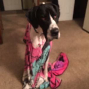 Meet your Posher, Kim