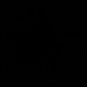 Meet your Posher, Ernest