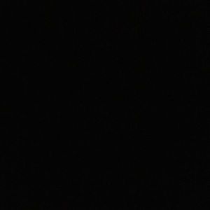 Meet your Posher, Claudia