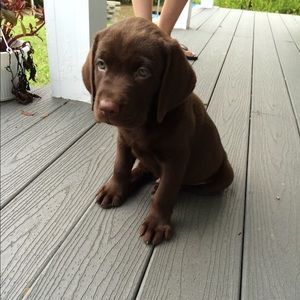 Meet your Posher, Rebecca