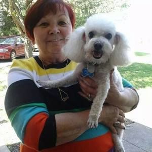 Meet your Posher, Carol