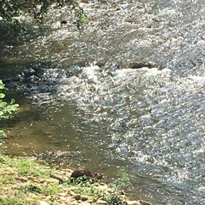 Meet your Posher, Kyra