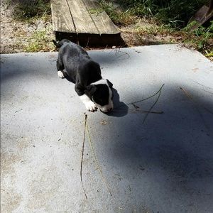 Meet your Posher, Vicky