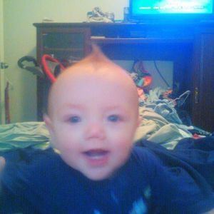 Meet your Posher, Dawn