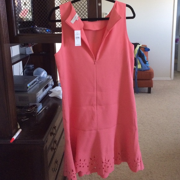 Ann Taylor Loft salmon shift dress - Picture 2 of 2