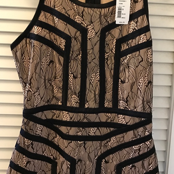 NEW Stretchy BodyCon Lace and Outlined Dress - Picture 2 of 4