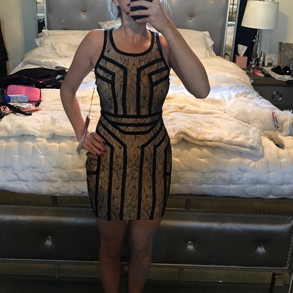 Dresses & Skirts - NEW Stretchy BodyCon Lace and Outlined Dress