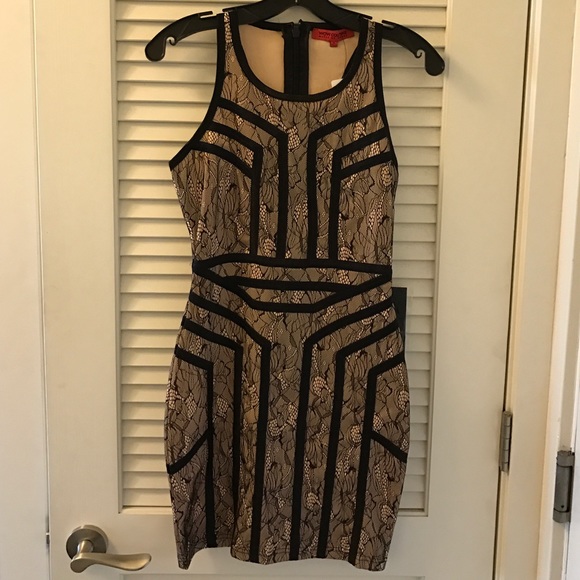 NEW Stretchy BodyCon Lace and Outlined Dress - Picture 4 of 4