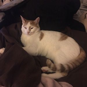 Meet your Posher, Diane