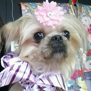 Meet your Posher, Arlene