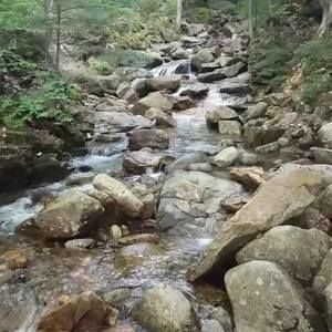 Meet your Posher, Kippy