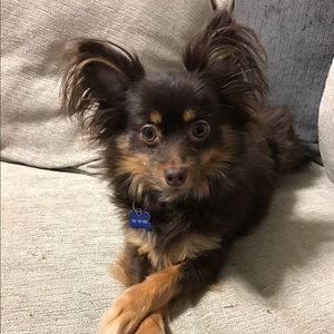 Meet your Posher, Hanh