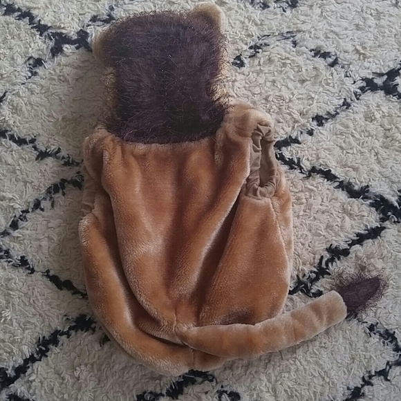 Baby lion costume.