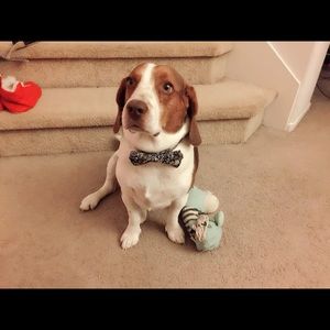 Meet your Posher, Chanunya