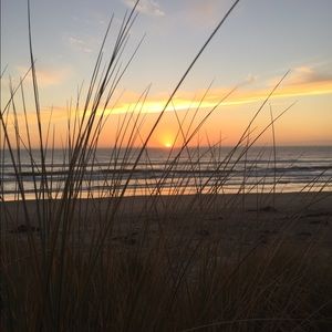 Meet your Posher, Lily