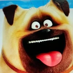 Meet your Posher, Debra