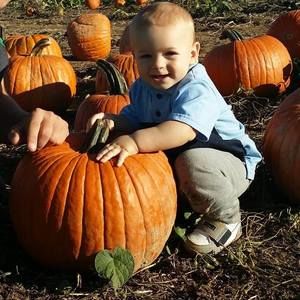 Meet your Posher, Kristin